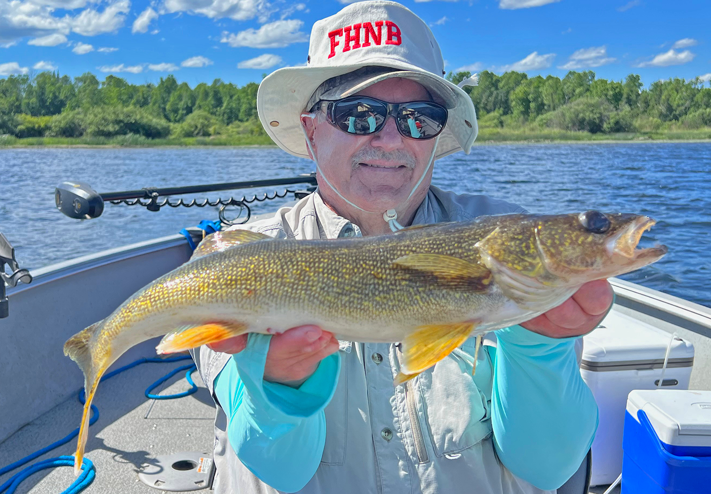 image of Steve Caron with nice walleye caught using a spinner tipped with minnows